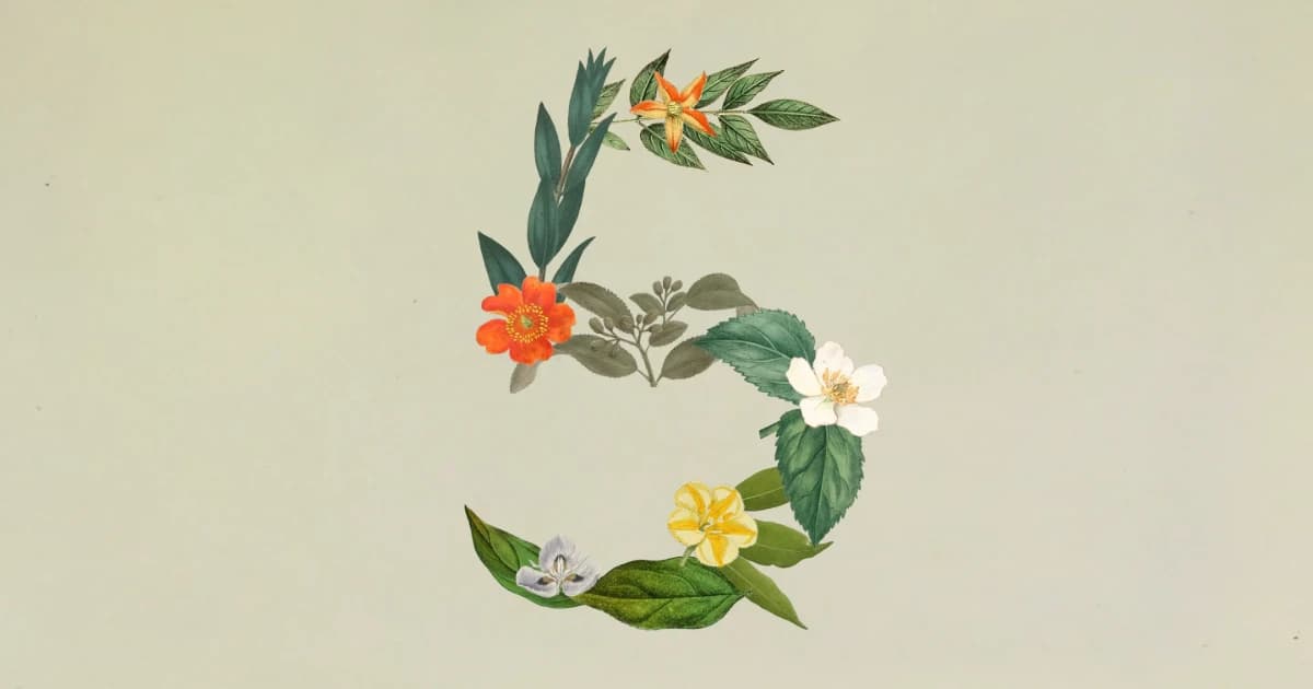 claude-sonnet-5-dla-malej-firmy-featured.webp